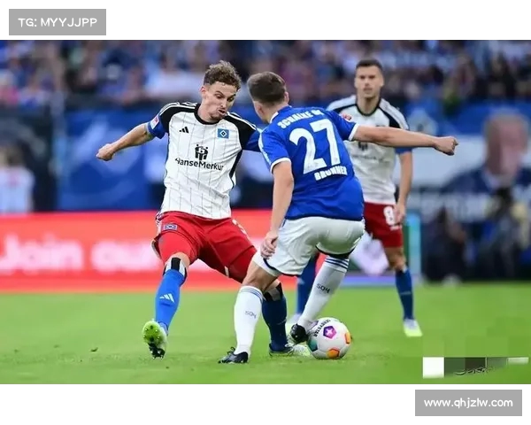 霍芬海姆足球队:德甲劲旅崛起之路与未来发展潜力分析 霍芬海姆足球队:德甲劲旅崛起之路与未来发展潜力分析